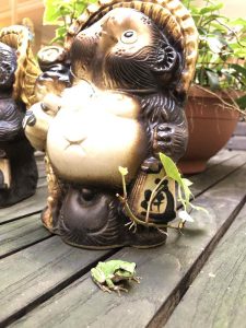 2018-06-17_08-56-13_516-2